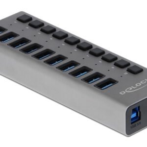 DELOCK USB hub 63670 με διακόπτες, 10x θυρών, 5Gbps, γκρι