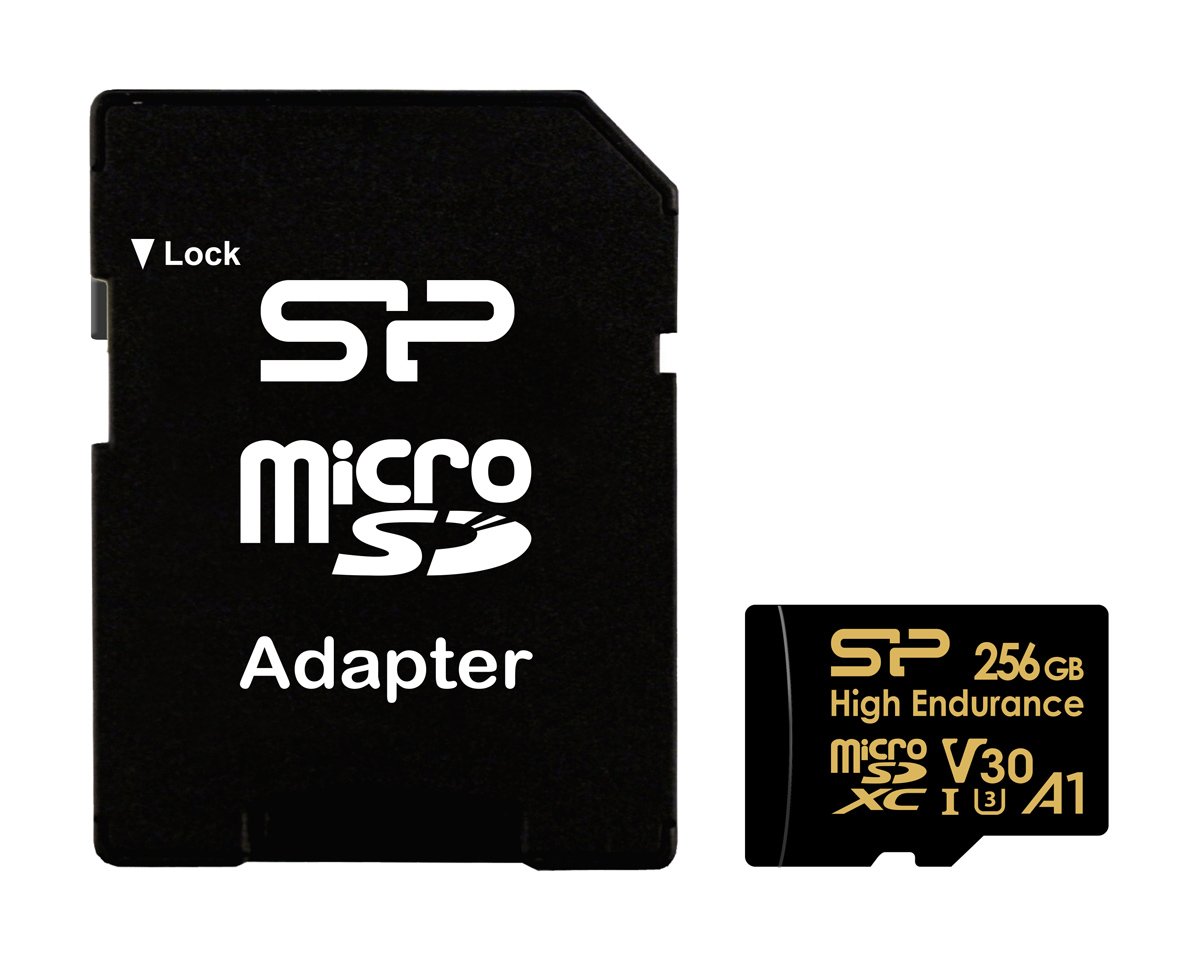 SP256GBSTXDV3V1HSP