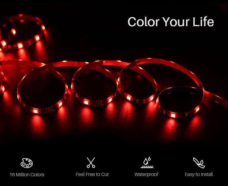 5050RGB-5M-1