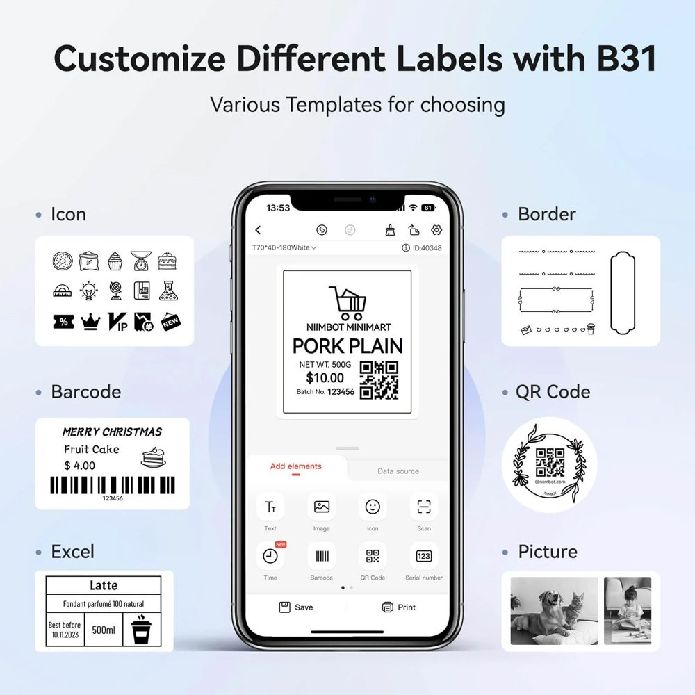 B31-BL-5
